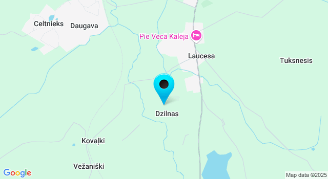 Weather forecasts Dzilnas