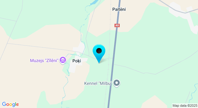 Прогноз погоды Елгавский край