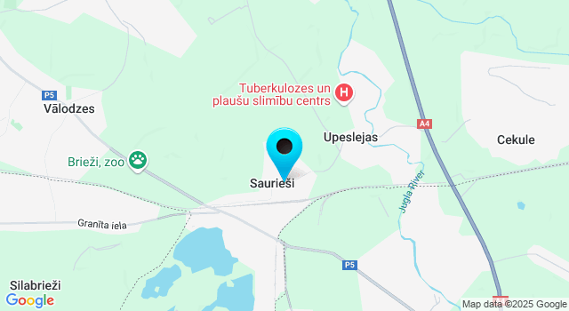 Weather forecasts Sauriesi