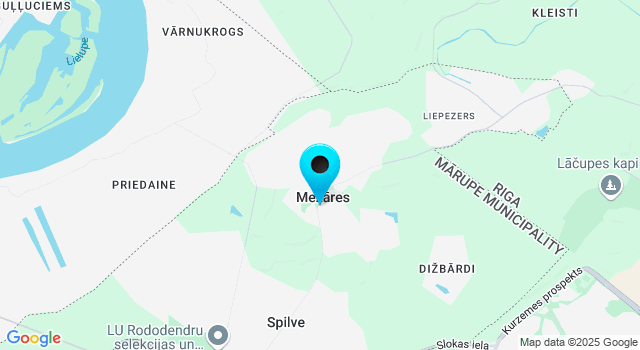 Прогноз погоды Межарес