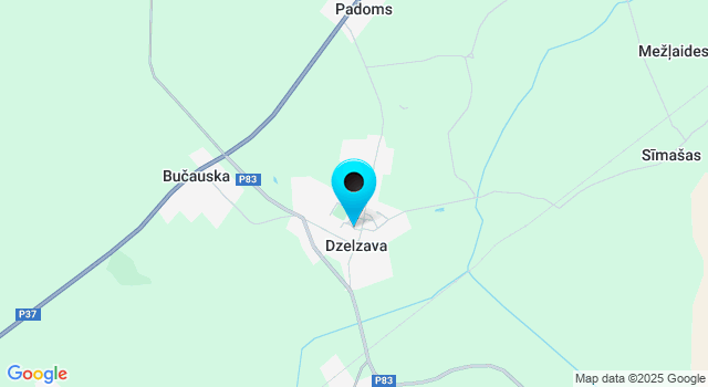 Прогноз погоды Дзелзава