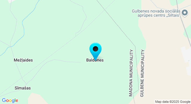 Прогноз погоды Балдонская волость